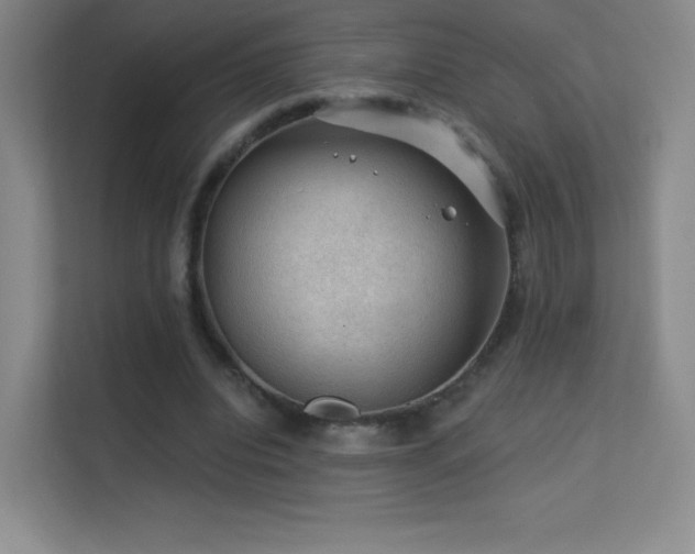 X0000113570440200909251138
