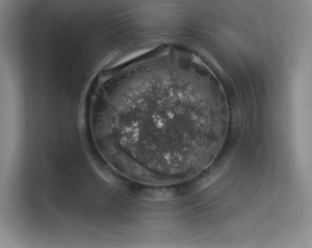 X0000113570443200909251138