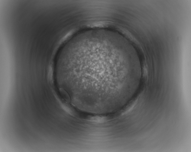 X0000113570444200909251138