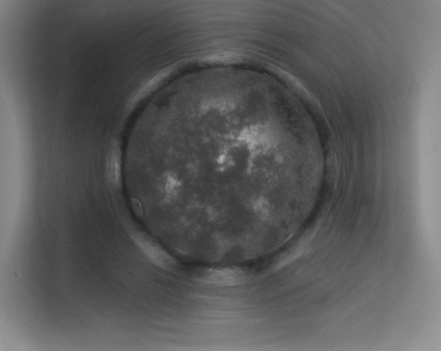 X0000113570446200909251138