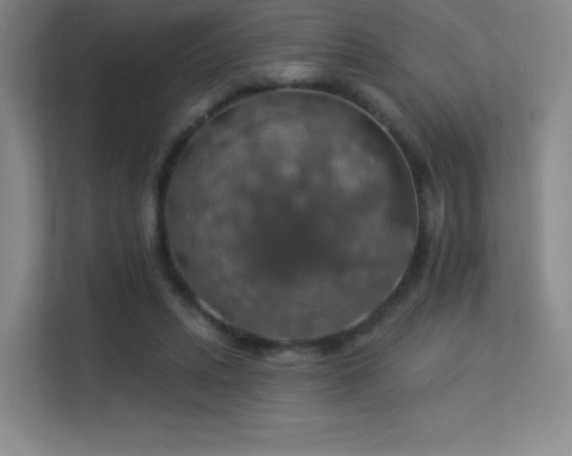 X0000113570447200909251138