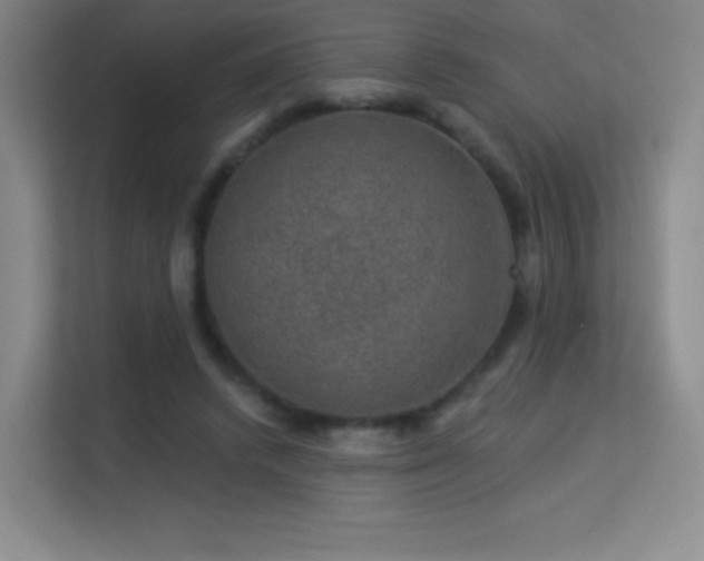 X0000113570448200909251138