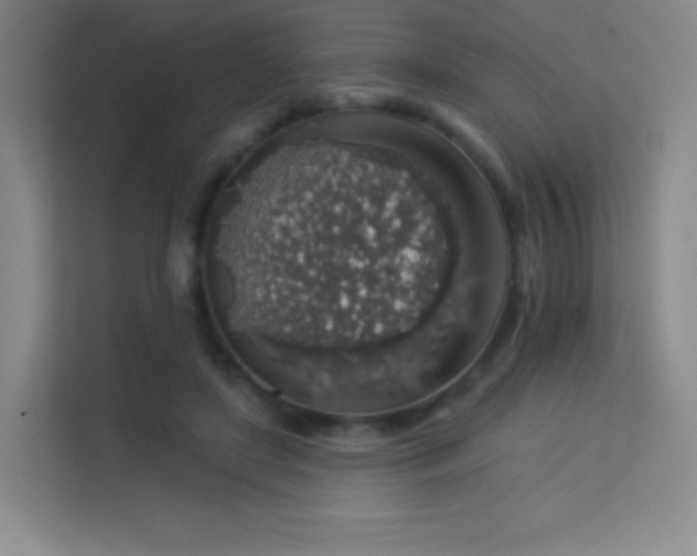 X0000113570451200909251138
