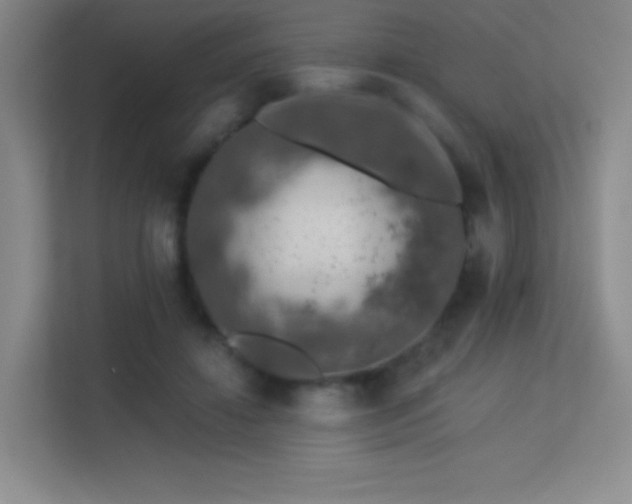 X0000113570452200909251138