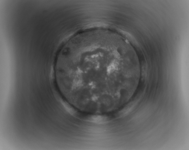 X0000113570453200909251138