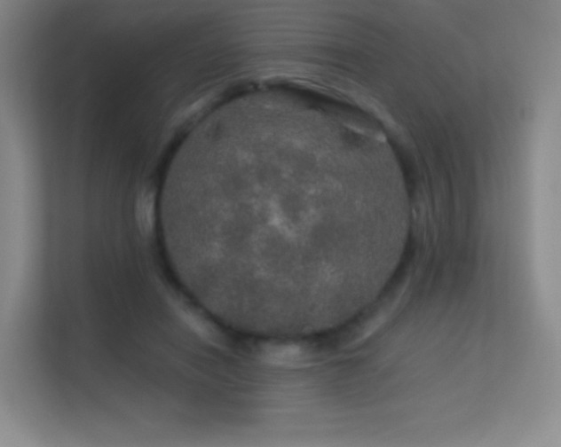 X0000113570454200909251138