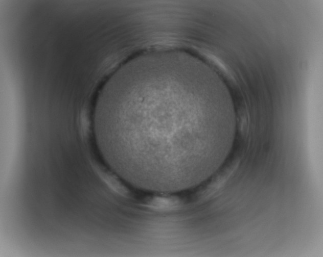X0000113570455200909251138