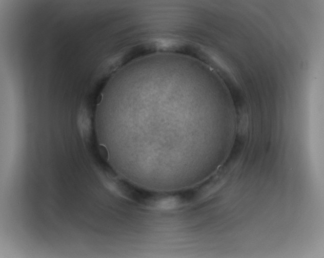 X0000113570456200909251138