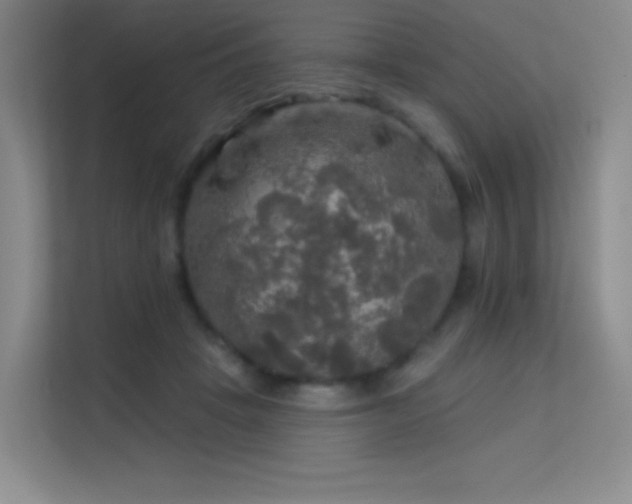 X0000113570457200909251138