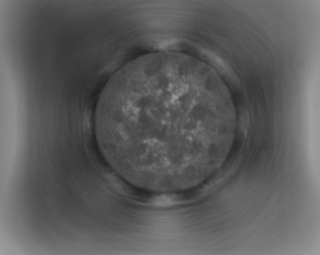 X0000113570461200909251138