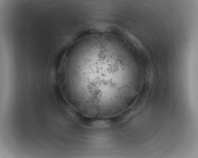 X0000113570465200909251138