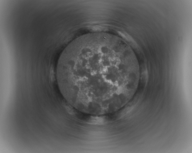 X0000113570469200909251138