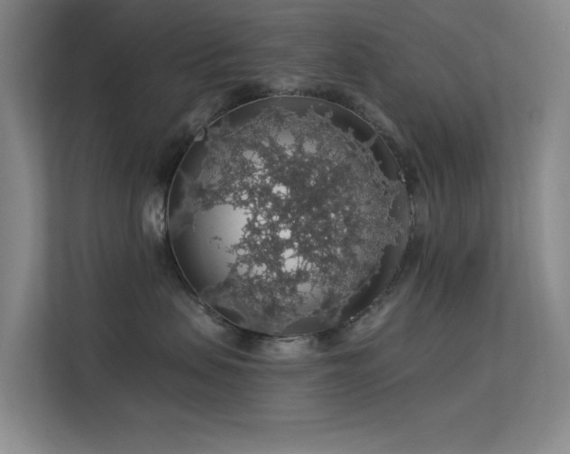 X0000113570479200909251138
