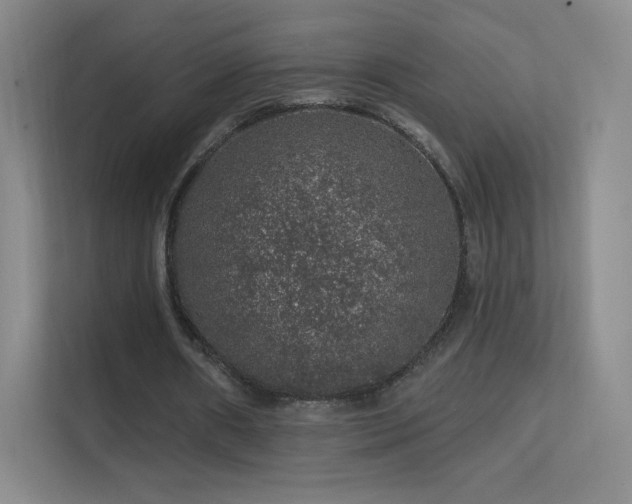 X0000113570482200909251138