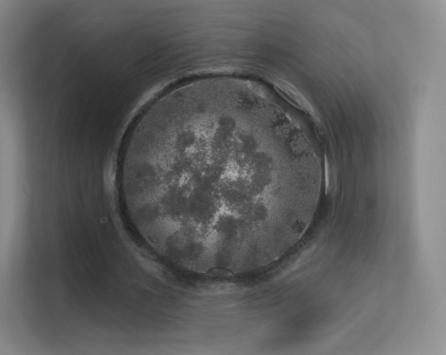 X0000113570483200909251138