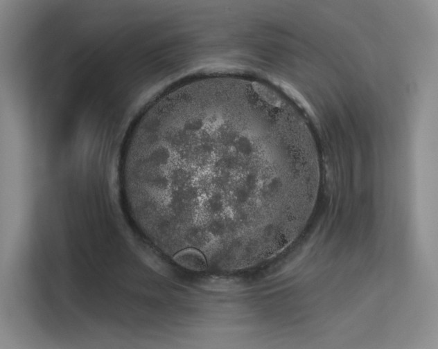 X0000113570487200909251138