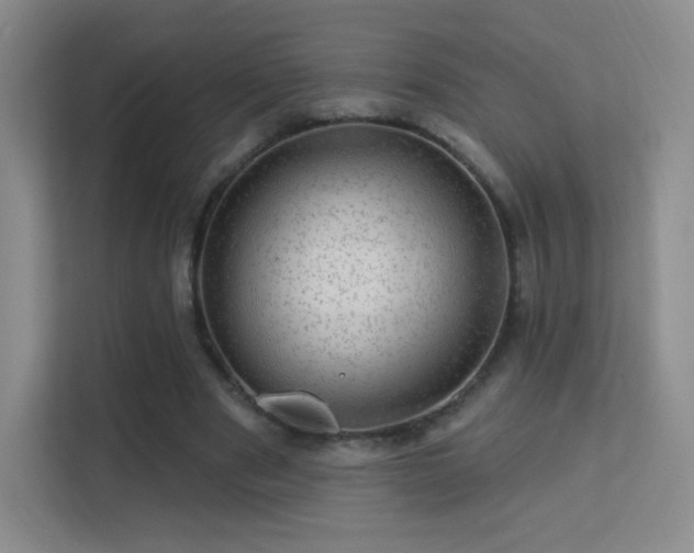 X0000113570489200909251138