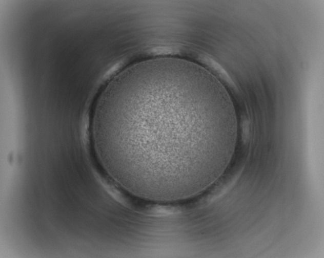 X0000113570490200909251138