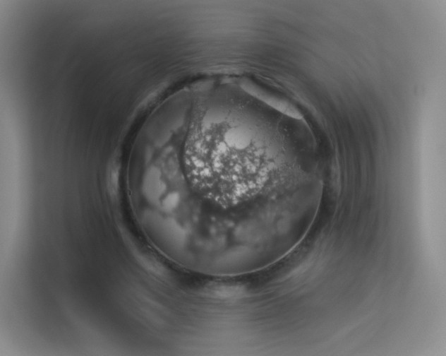X0000113570491200909251138