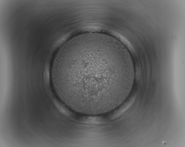 X0000113570493200909251137