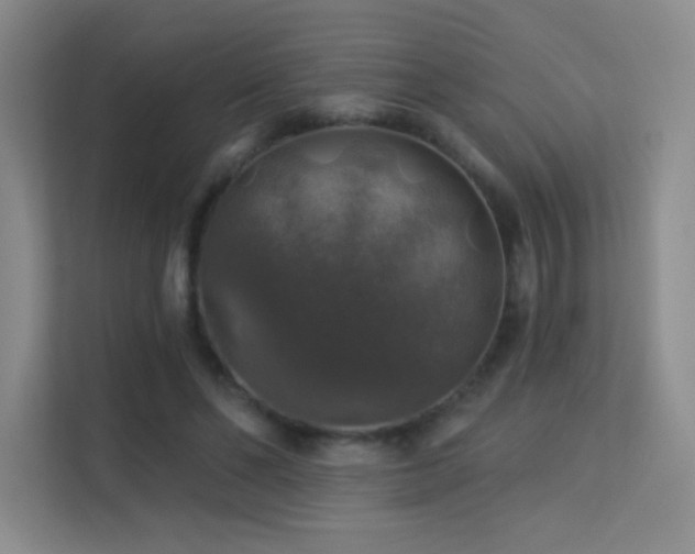 X0000113570494200909251137