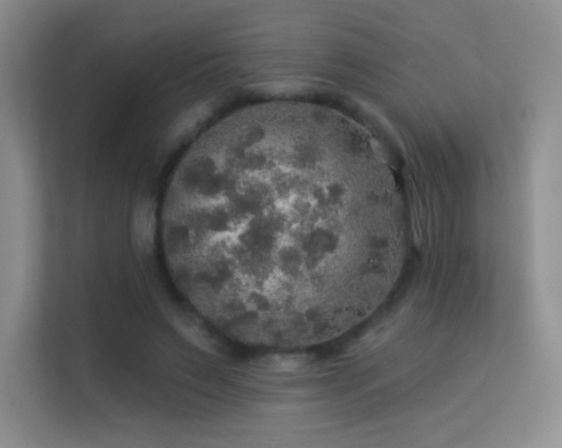 X0000113570495200909251137