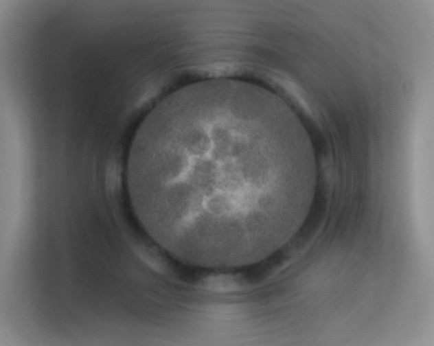X0000113570499200909251137