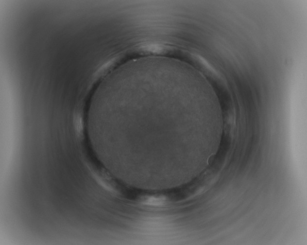 X0000113570500200909251137