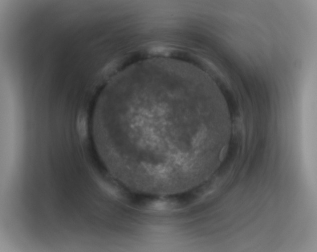 X0000113570504200909251137