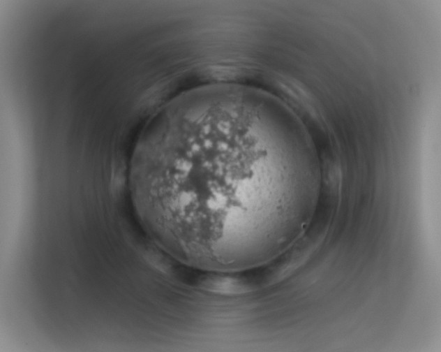 X0000113570507200909251137