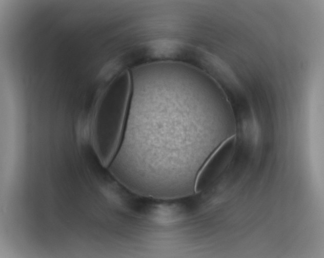X0000113570508200909251137