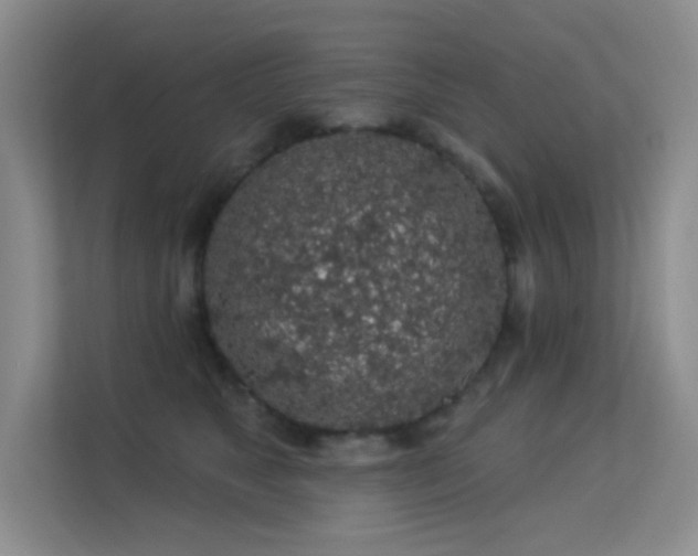 X0000113570517200909251137