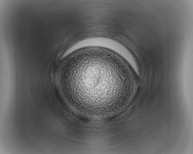 X0000113570520200909251137