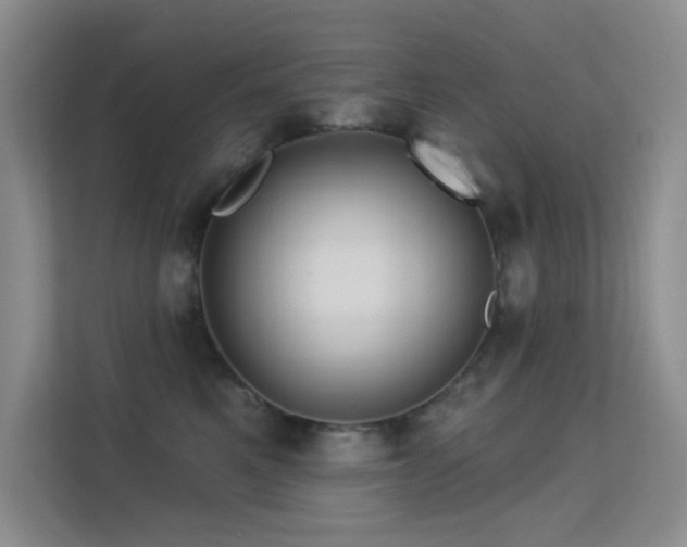 X0000113570521200909251137