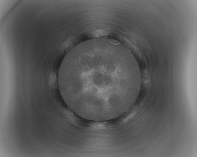 X0000113570523200909251137