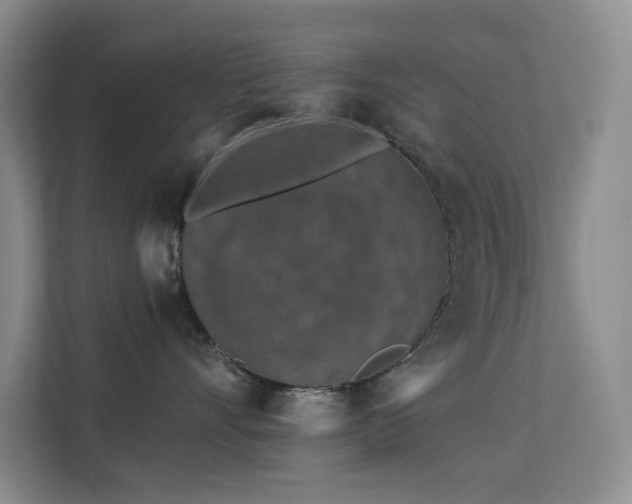 X0000113570528200909251137