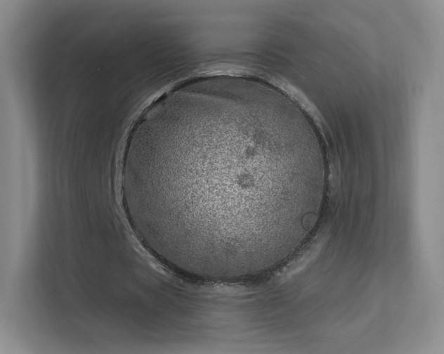 X0000113570529200909251136