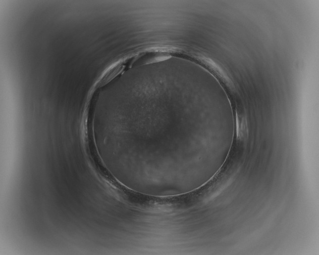 X0000113570531200909251136