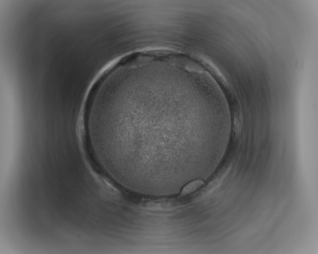 X0000113570532200909251136