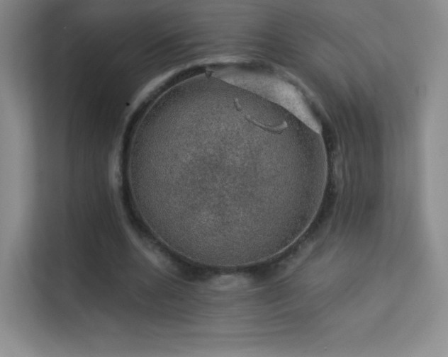X0000113570536200909251136
