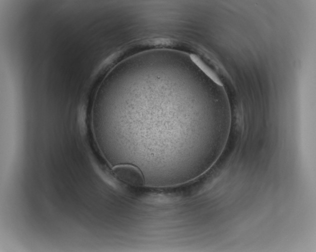 X0000113570538200909251137