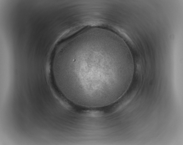 X0000113570539200909251137