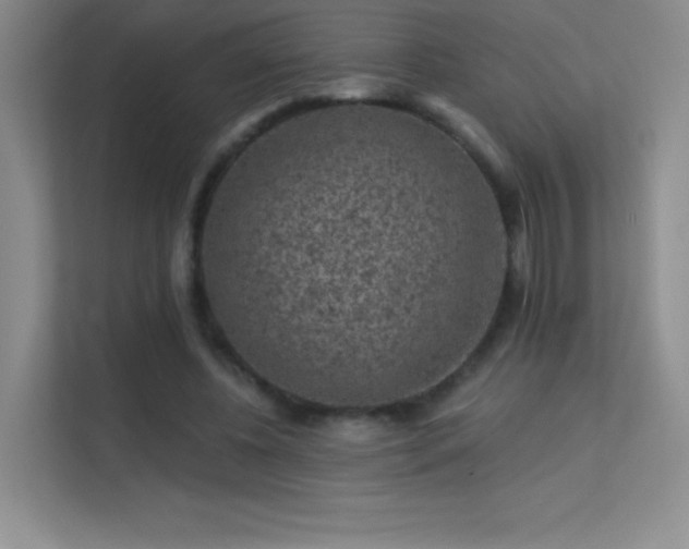 X0000113570540200909251137