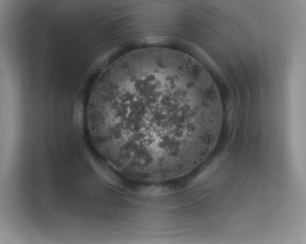X0000113570542200909251137