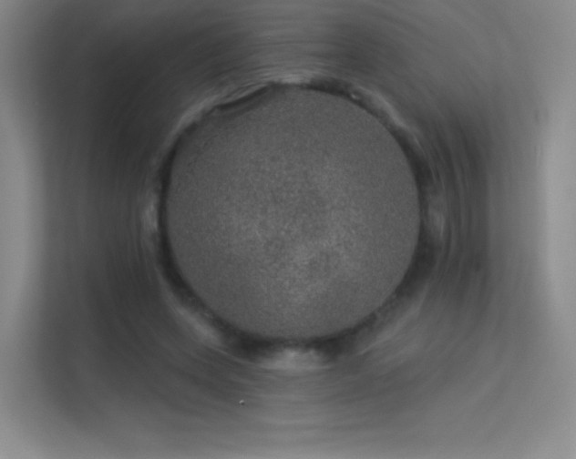 X0000113570543200909251137