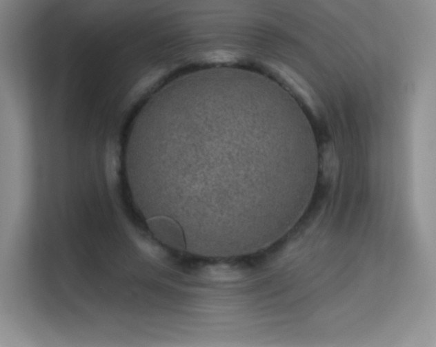X0000113570544200909251137