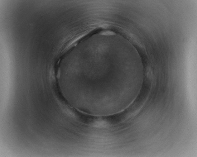 X0000113570547200909251137