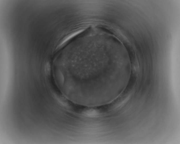 X0000113570551200909251137