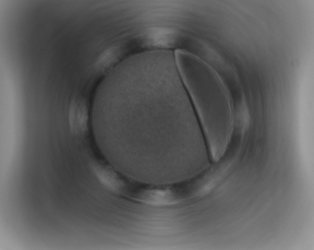 X0000113570552200909251137