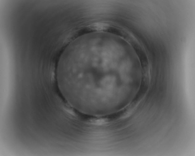 X0000113570553200909251137